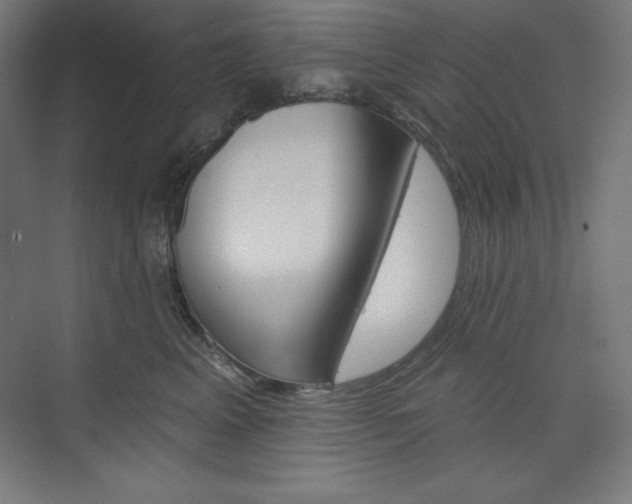 X0000073950617200608210944