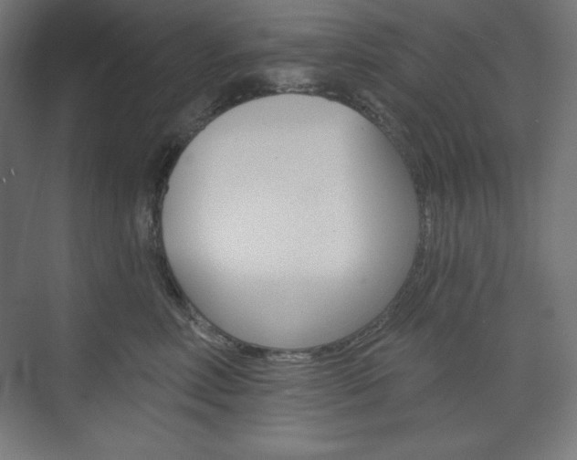 X0000073950618200608210944