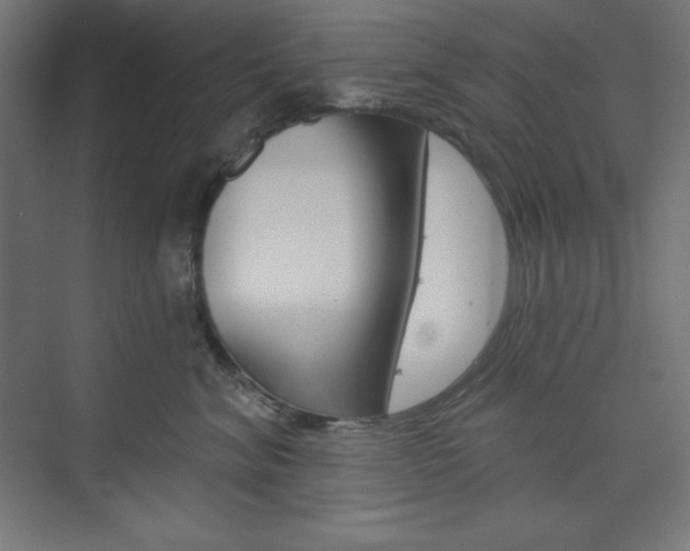 X0000073950620200608210944