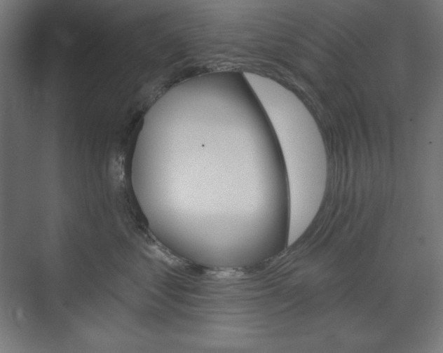 X0000073950621200608210944