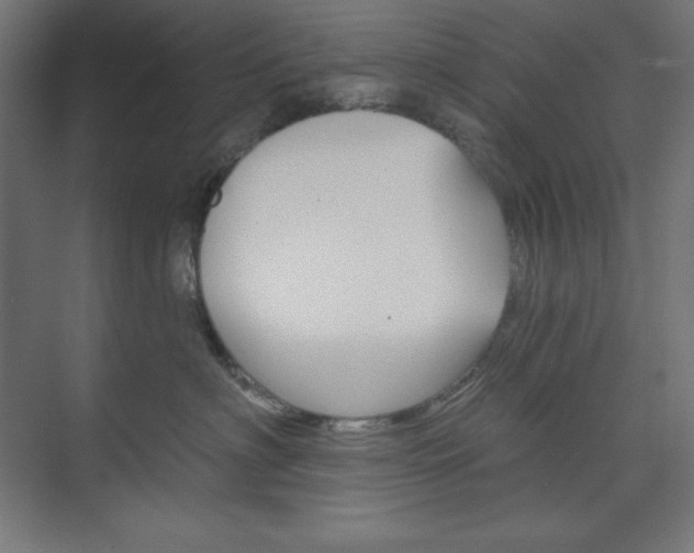 X0000073950622200608210944