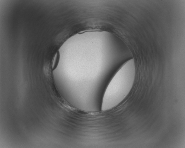 X0000073950623200608210944