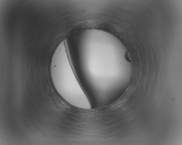 X0000073950624200608210944