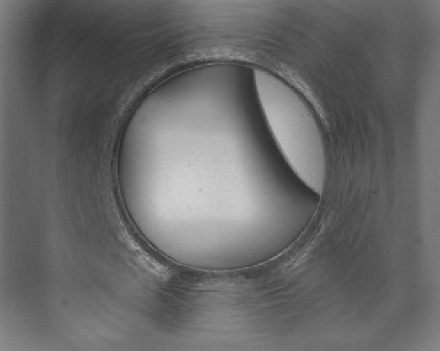 X0000073950625200608210943