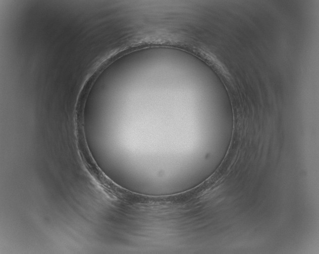 X0000073950626200608210943