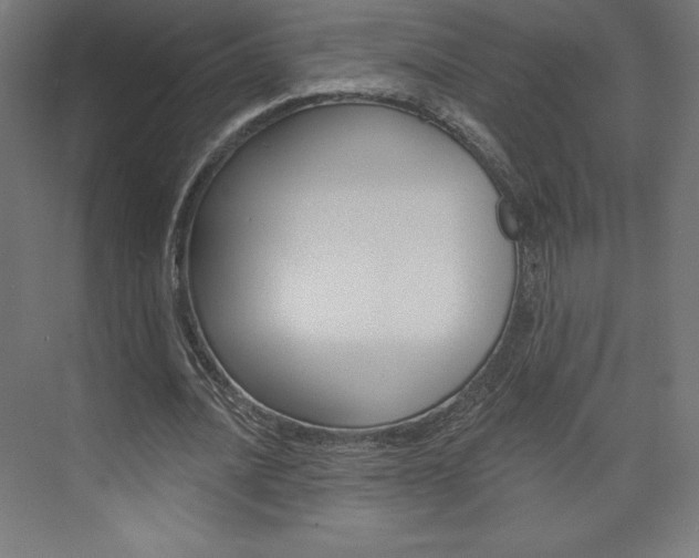 X0000073950628200608210943