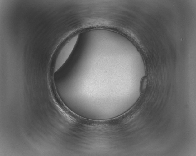 X0000073950629200608210943