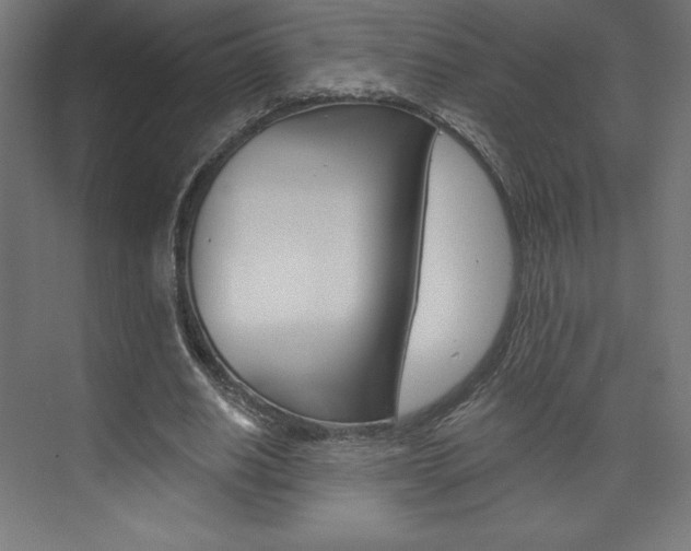 X0000073950630200608210943