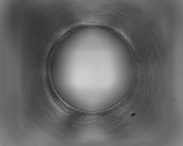 X0000073950631200608210943