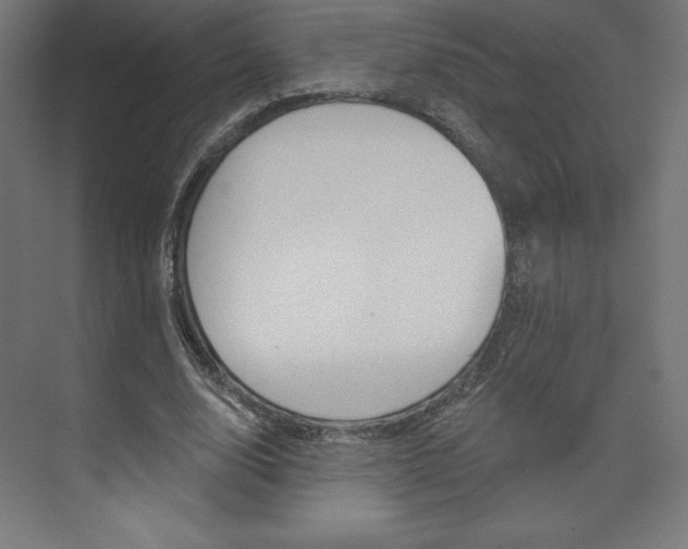 X0000073950632200608210943