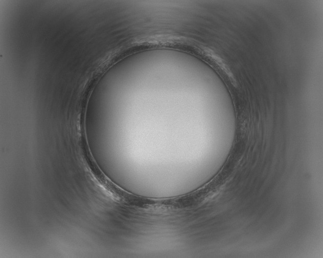 X0000073950633200608210943
