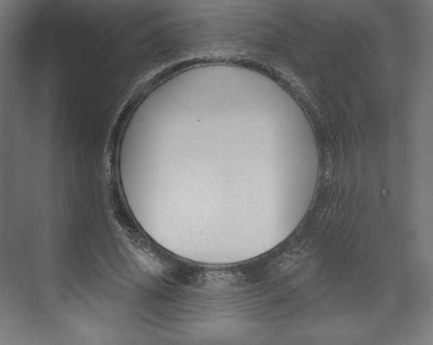 X0000073950636200608210943