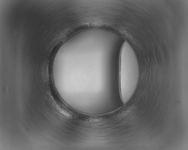 X0000073950638200608210943