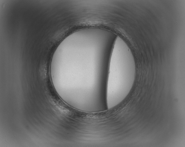 X0000073950640200608210943