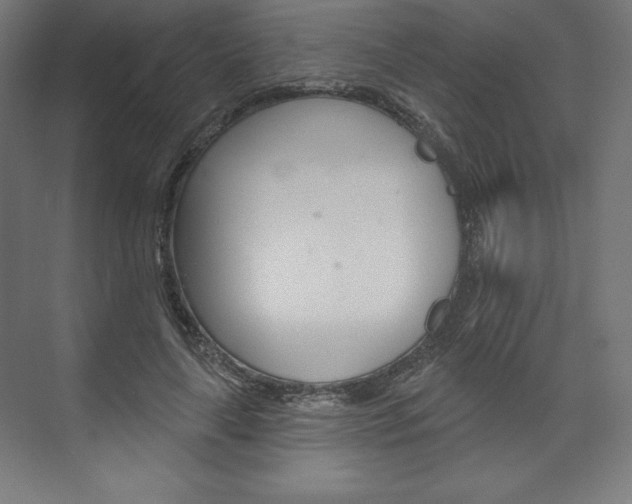 X0000073950643200608210943