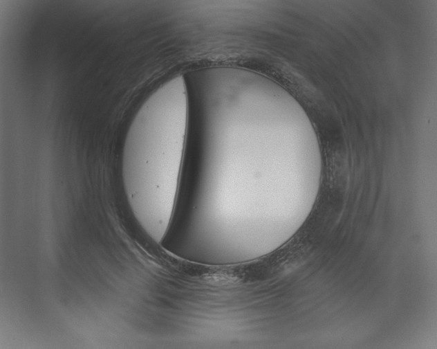 X0000073950644200608210943