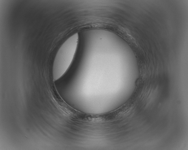 X0000073950645200608210943