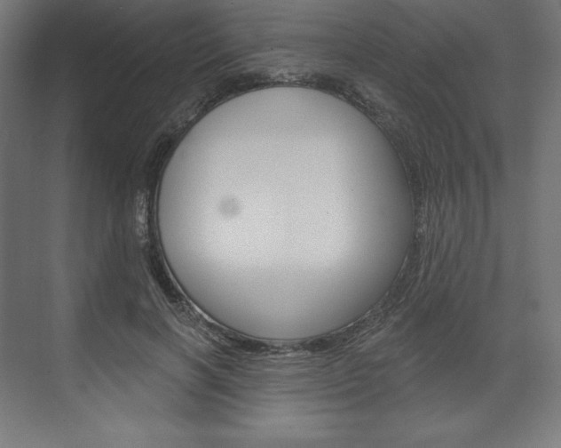 X0000073950646200608210943