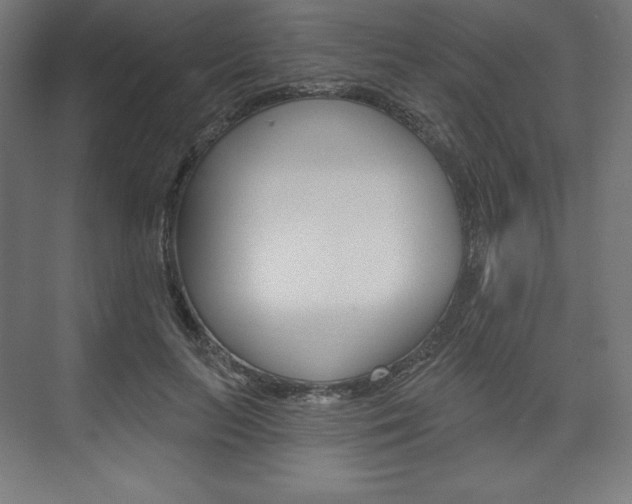 X0000073950647200608210943