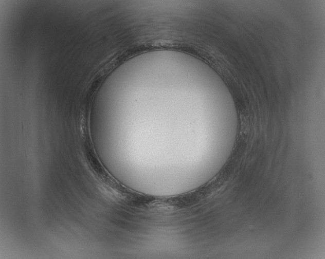 X0000073950648200608210943