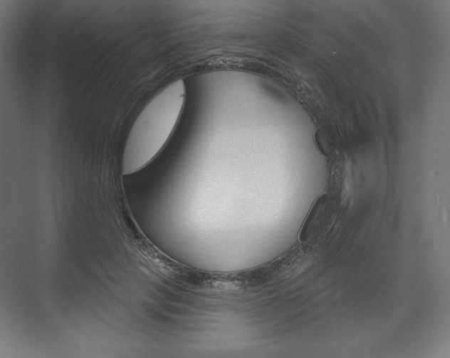 X0000073950649200608210943