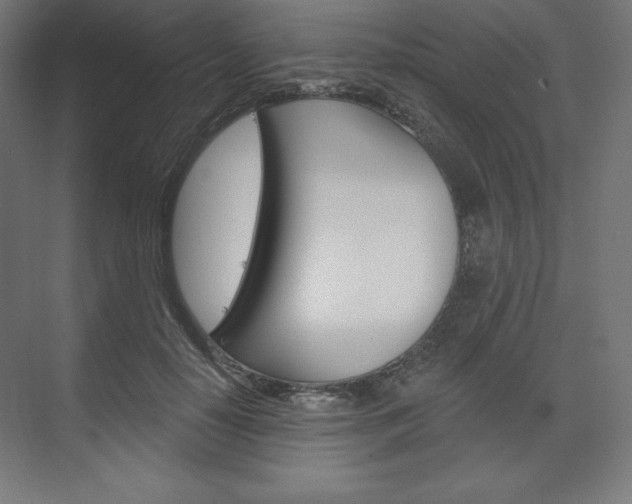 X0000073950650200608210943