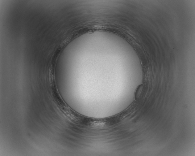 X0000073950651200608210943