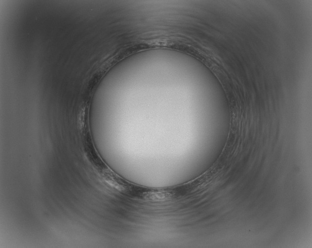 X0000073950652200608210943