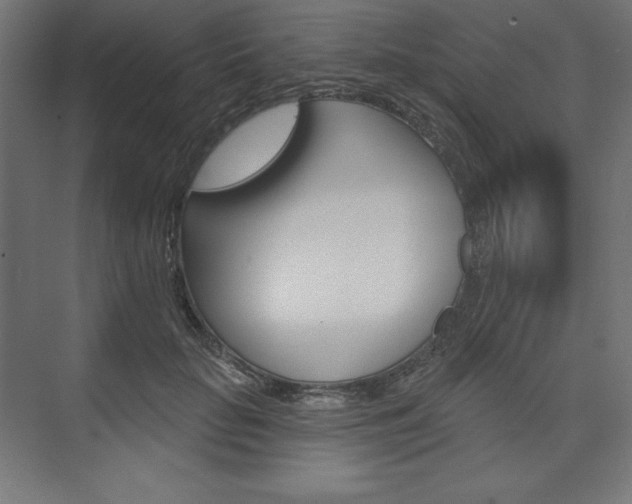 X0000073950653200608210943