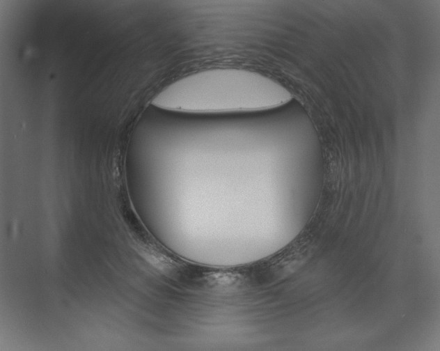 X0000073950654200608210943