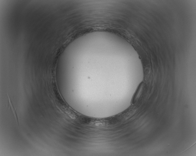 X0000073950655200608210943