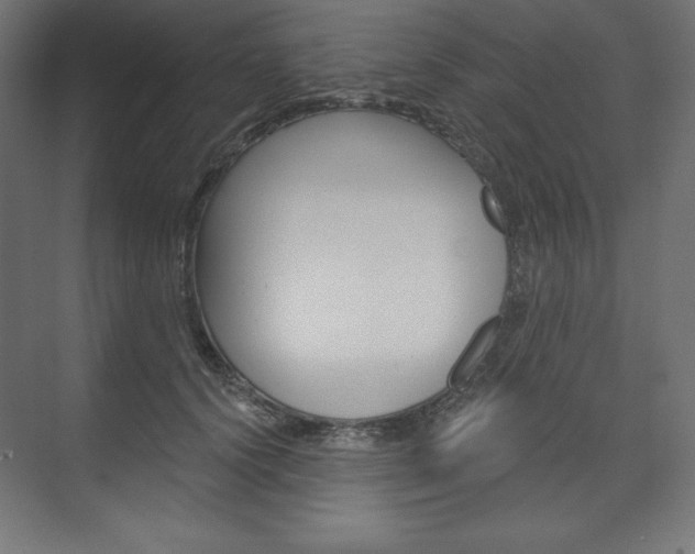 X0000073950656200608210943