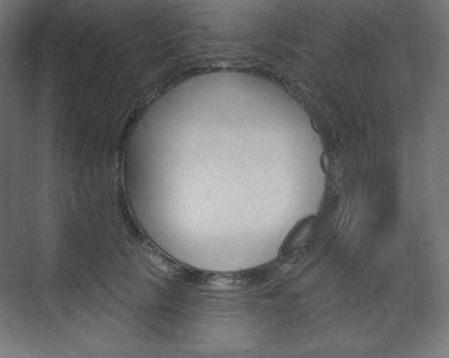X0000073950657200608210943