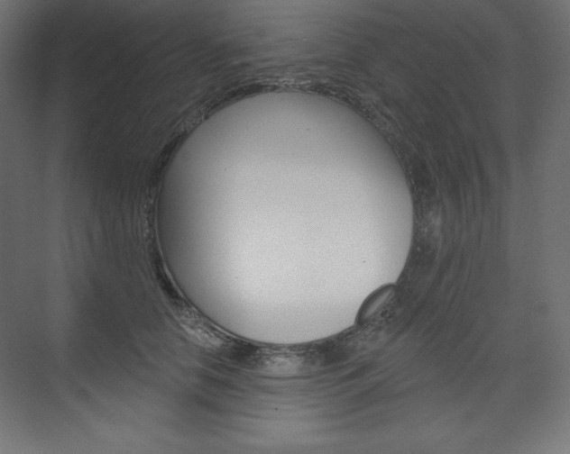 X0000073950658200608210944