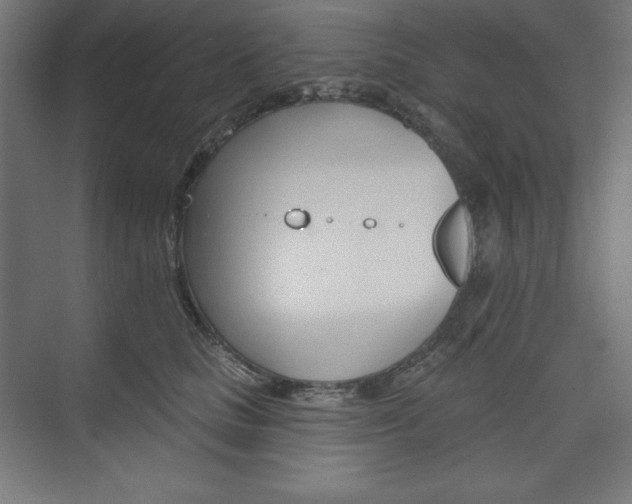 X0000073950661200608210944