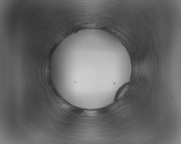 X0000073950665200608210944