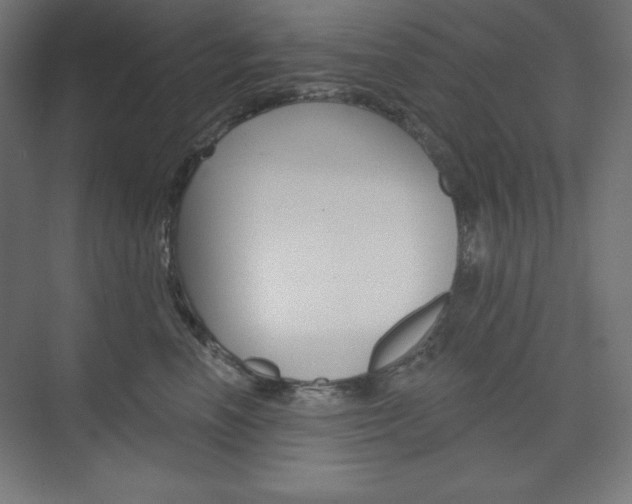 X0000073950666200608210944