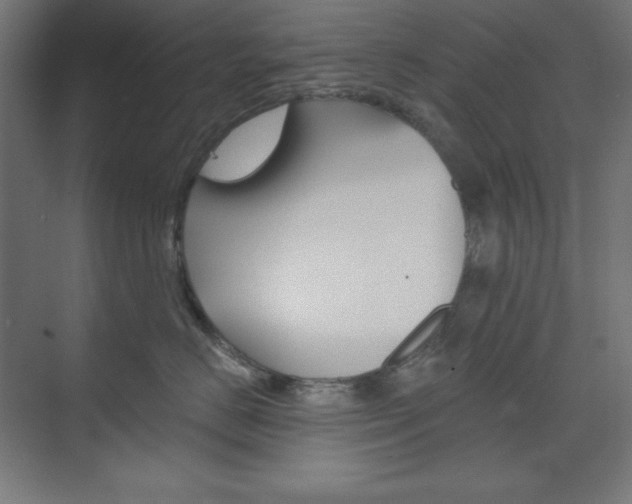 X0000073950670200608210944