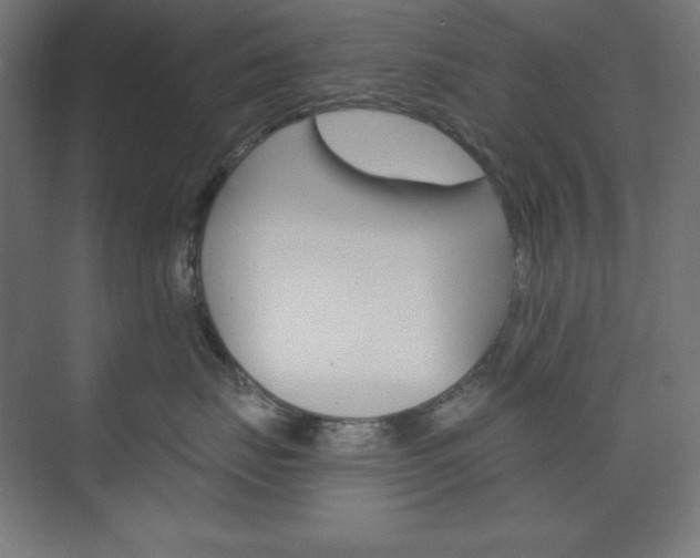 X0000073950671200608210944