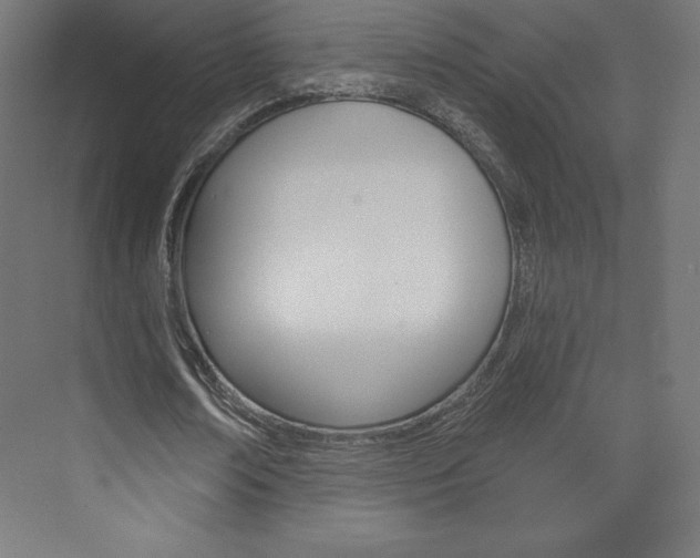 X0000073950674200608210943
