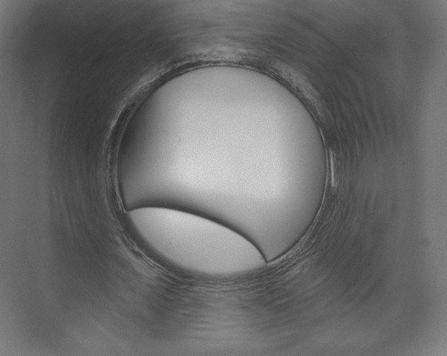 X0000073950675200608210943