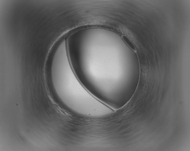 X0000073950676200608210943