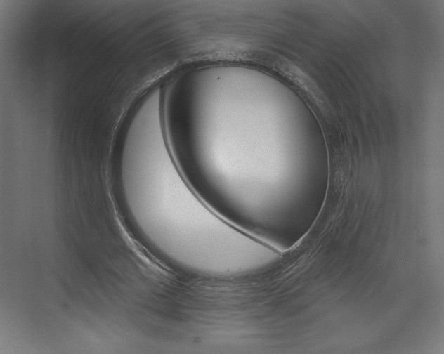 X0000073950677200608210943