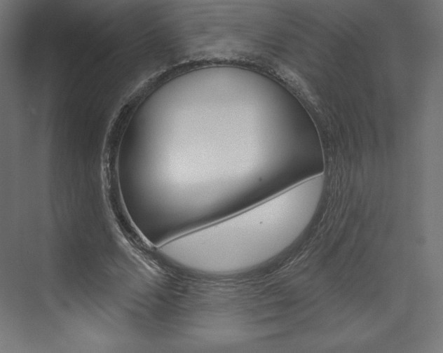 X0000073950680200608210943