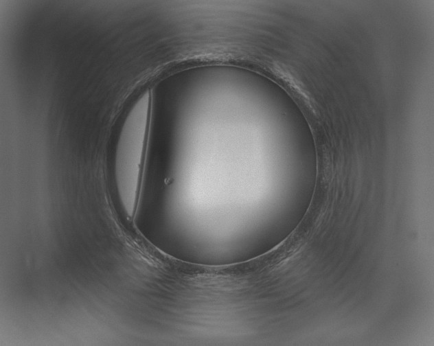 X0000073950681200608210943
