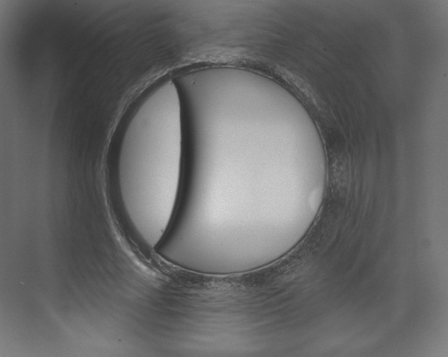 X0000073950682200608210943