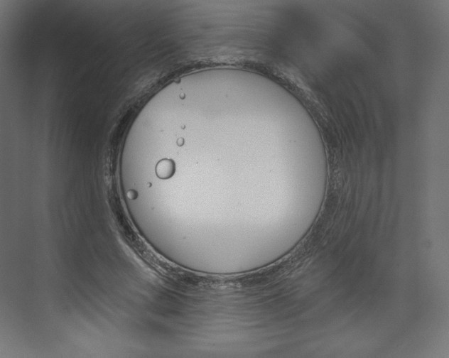 X0000073950683200608210943