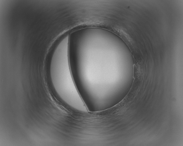 X0000073950684200608210943
