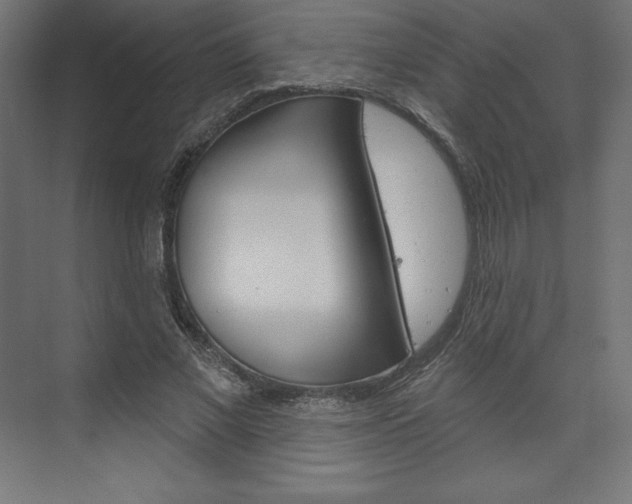 X0000073950685200608210943