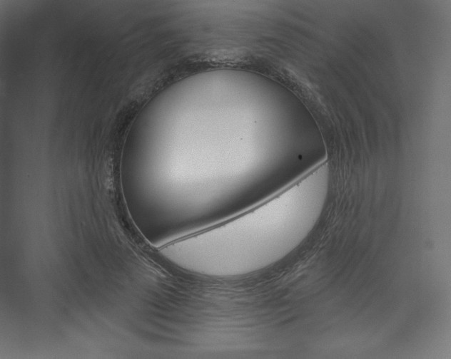 X0000073950689200608210943